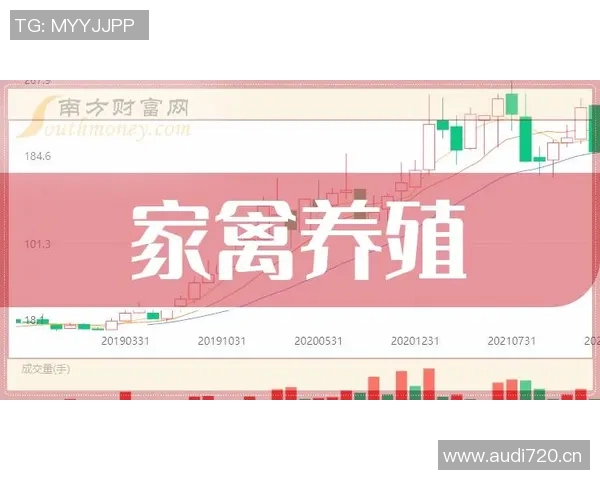 成都飞盘队实力强劲荣登全国技术排行榜第八名引发关注