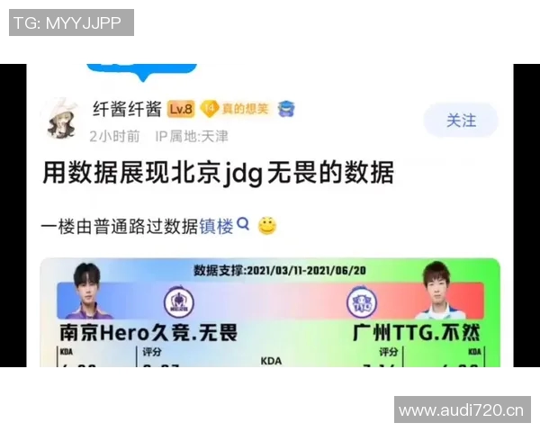 数据分析探讨JDG在市场环境中的灵活性表现及其影响因素